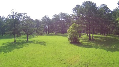 Paradise Found! This stunning property features an artesian well - photo 12