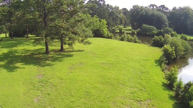 Paradise Found! This stunning property features an artesian well - photo 13