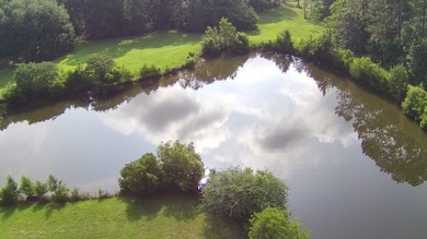 Paradise Found! This stunning property features an artesian well - photo 15