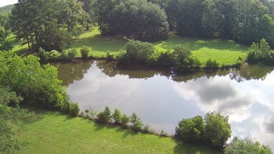Paradise Found! This stunning property features an artesian well - photo 16