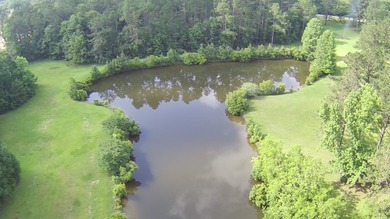Paradise Found! This stunning property features an artesian well - photo 17