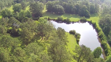 Paradise Found! This stunning property features an artesian well - photo 18