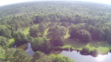 Paradise Found! This stunning property features an artesian well - photo 19