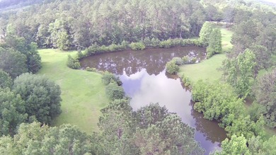 Paradise Found! This stunning property features an artesian well - photo 20