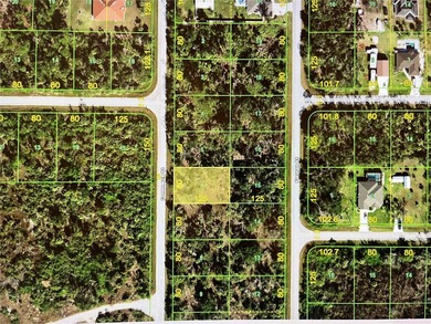 Port Charlotte Waterway Area Lot For Sale in Port Charlotte Florida