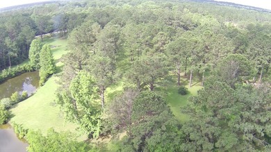 Paradise Found! This stunning property features an artesian well - photo 22
