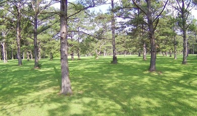 Paradise Found! This stunning property features an artesian well - photo 23