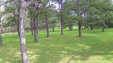 Paradise Found! This stunning property features an artesian well - photo 25
