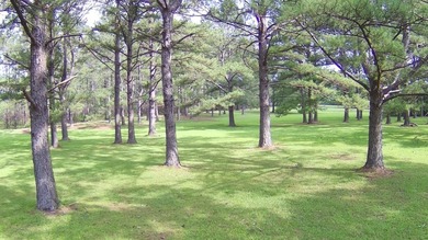 Paradise Found! This stunning property features an artesian well - photo 26