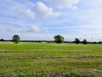 Prime Road Frontage Opportunity close to Richland Chambers Lake! - photo 22