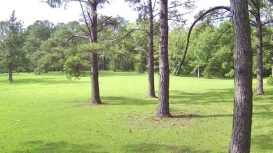 Paradise Found! This stunning property features an artesian well - photo 27