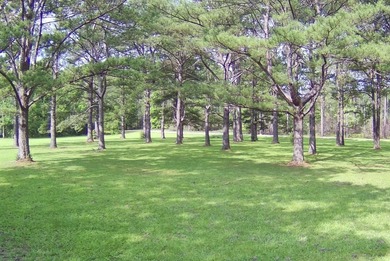 Paradise Found! This stunning property features an artesian well - photo 28