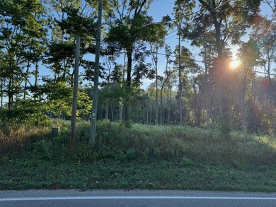 (private lake, pond, creek) Lot For Sale in Edwardsburg Michigan