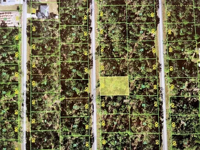 Port Charlotte Waterway Area Lot For Sale in Port Charlotte Florida