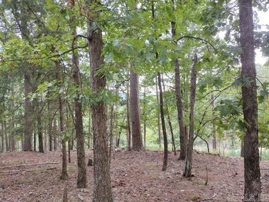 Lake Lago  Lot For Sale in Hot Springs Village Arkansas