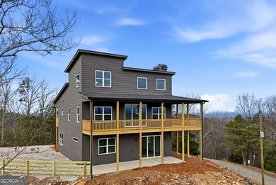 New Construction! This stunning modern farmhouse plan offers the - photo 1