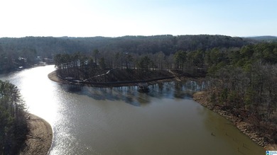 Exceptional point waterfront lot offering year-round water and a - photo 8