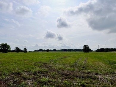 Prime Road Frontage Opportunity close to Richland Chambers Lake! - photo 19