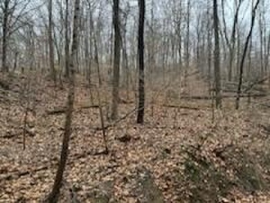 Lake Lot For Sale in Sugar Grove, Ohio