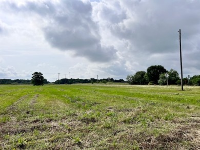 Prime Road Frontage Opportunity close to Richland Chambers Lake! - photo 20