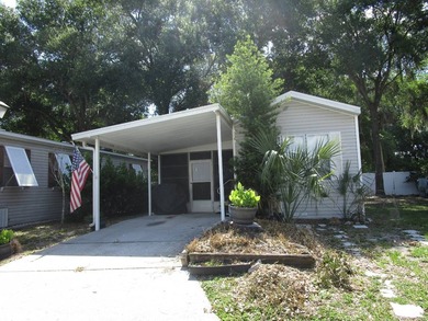 Lake Enola Home For Sale in Umatilla Florida