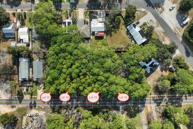 Four lots with no HOA located in the heart of Destin just steps - photo 18