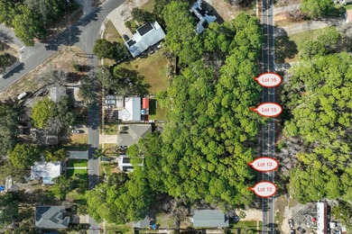 Four lots with no HOA located in the heart of Destin just steps - photo 20