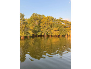 Lake Acreage For Sale in Many, Louisiana