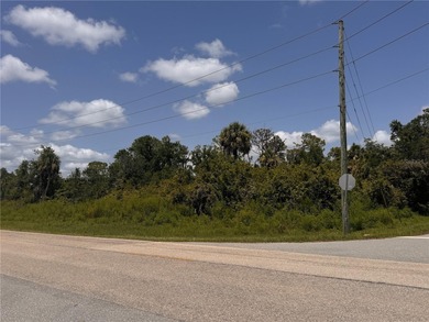 Port Charlotte Waterway Area Lot For Sale in Port Charlotte Florida