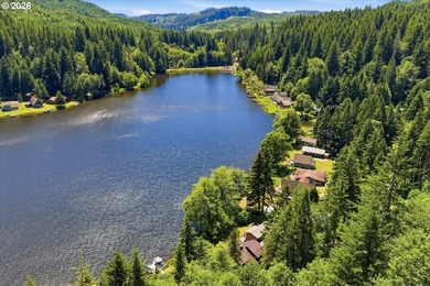 Picturesque Cabin on Fishhawk Lake. Imagine waking each morning - photo 44
