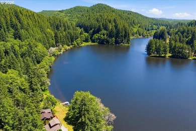 Picturesque Cabin on Fishhawk Lake. Imagine waking each morning - photo 45