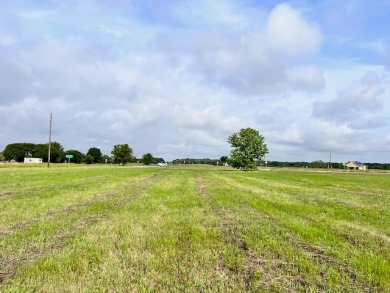 Prime Road Frontage Opportunity close to Richland Chambers Lake! - photo 27