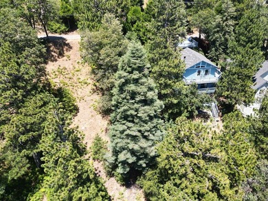 21543 Peak Cir - photo 4