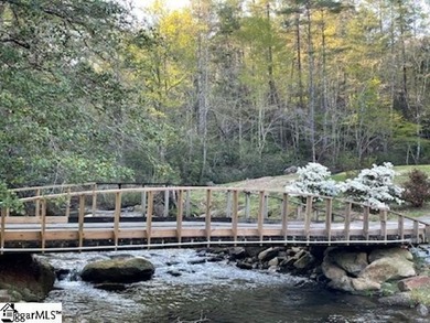 AMAZING MOUNTAINOUS CLOSE-IN LOCATION! 1-ACRE+- GOLF COURSE LOT! - photo 11