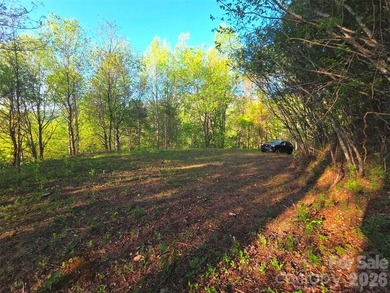Near the breathtaking Great Smoky Mountains National Park, this - photo 12