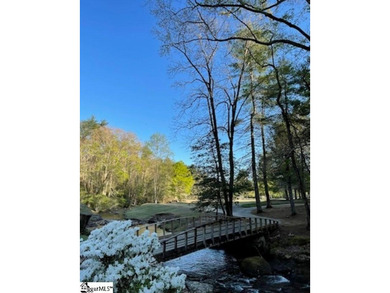 AMAZING MOUNTAINOUS CLOSE-IN LOCATION! 1-ACRE+- GOLF COURSE LOT! - photo 13