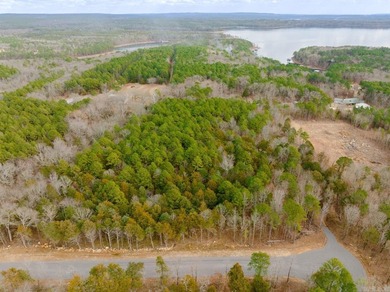 This 3.04 acre lot is located in the brand new Vida Del Lago - photo 15
