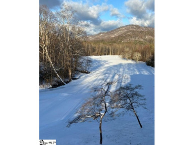 AMAZING MOUNTAINOUS CLOSE-IN LOCATION! 1-ACRE+- GOLF COURSE LOT! - photo 15
