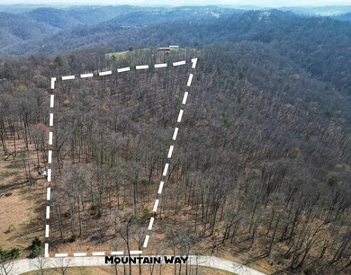 Norris Lake Acreage For Sale in  Tennessee