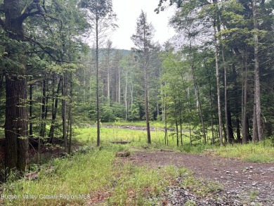  Acreage Sale Pending in Chichester New York