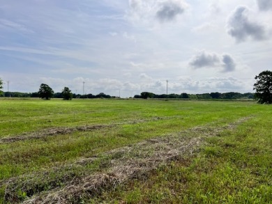 Prime Road Frontage Opportunity close to Richland Chambers Lake! - photo 23