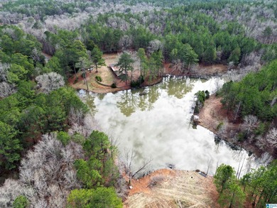 Rare opportunity to own 70+ acres in beautiful Sterrett - photo 4