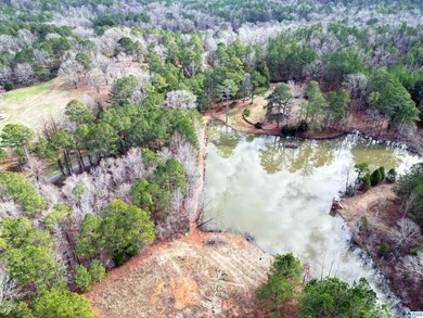 Rare opportunity to own 70+ acres in beautiful Sterrett - photo 5
