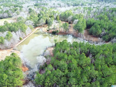 Rare opportunity to own 70+ acres in beautiful Sterrett - photo 6