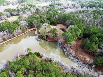 Rare opportunity to own 70+ acres in beautiful Sterrett - photo 7