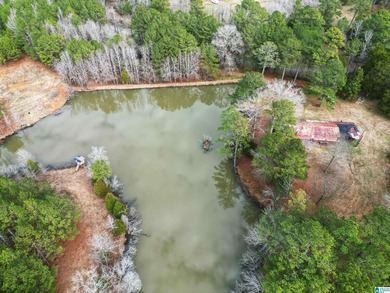Rare opportunity to own 70+ acres in beautiful Sterrett - photo 8