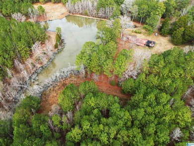 Rare opportunity to own 70+ acres in beautiful Sterrett - photo 9