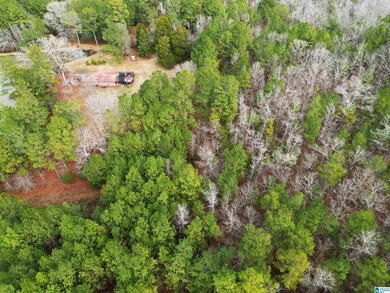 Rare opportunity to own 70+ acres in beautiful Sterrett - photo 10