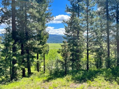 Lake Acreage For Sale in Cascade, Idaho