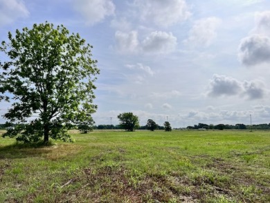 Prime Road Frontage Opportunity close to Richland Chambers Lake! - photo 18